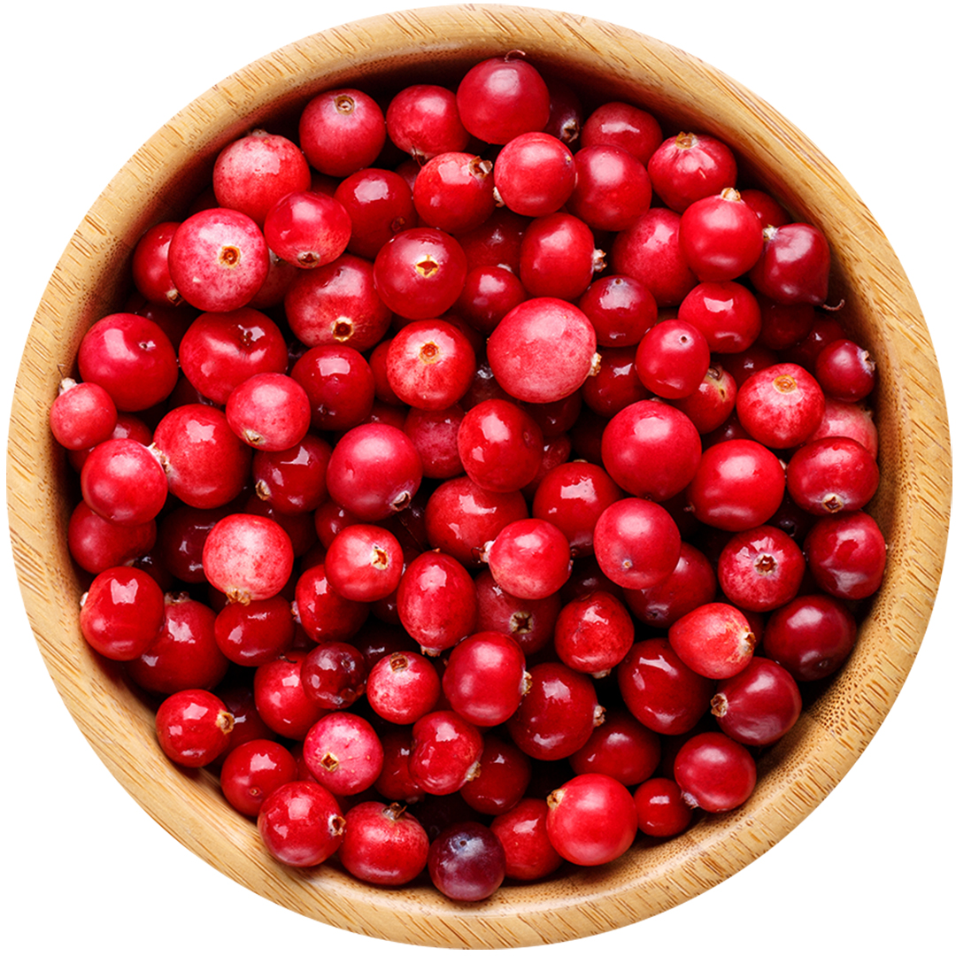 AKCJA Cranberry