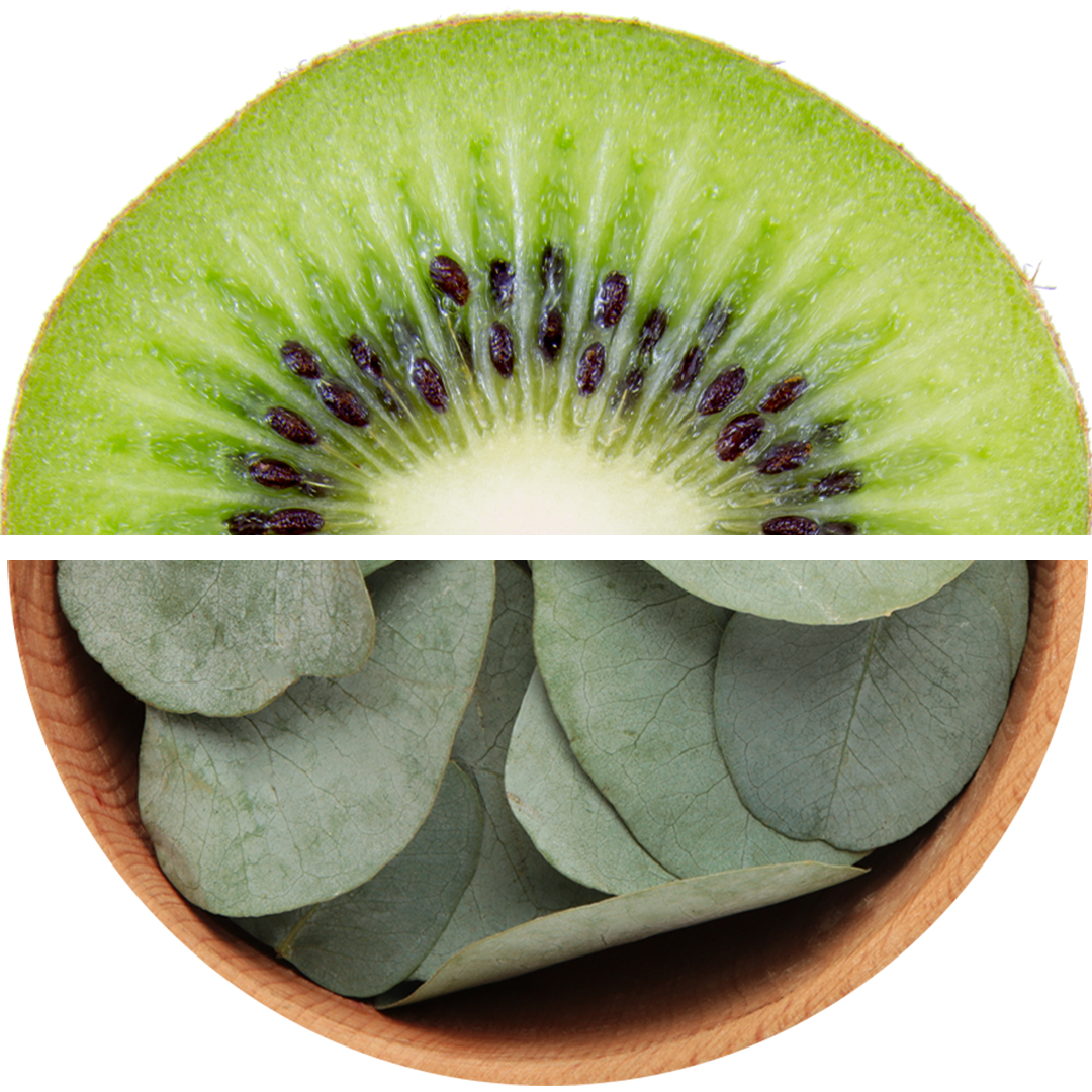Eucalyptus & kiwi