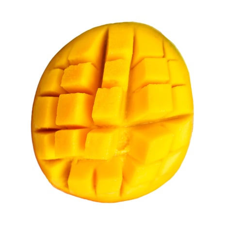 Protein Bar