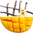 image of 