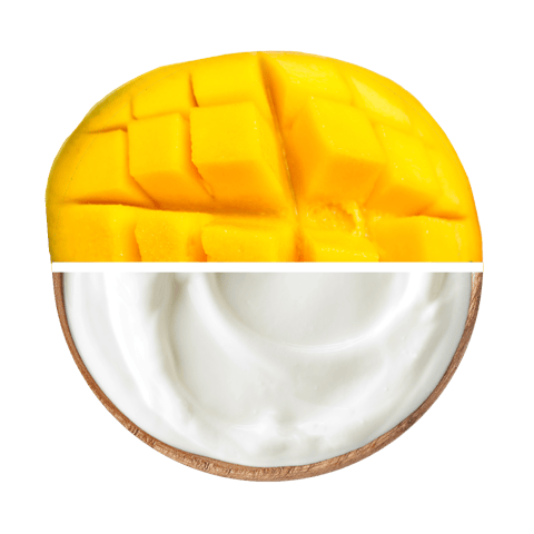 Protein Bar