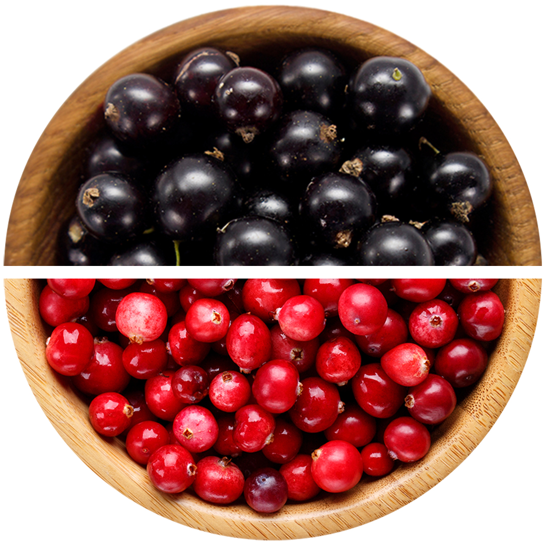 Blackcurrant with Cranberries in Yoghurt Coating