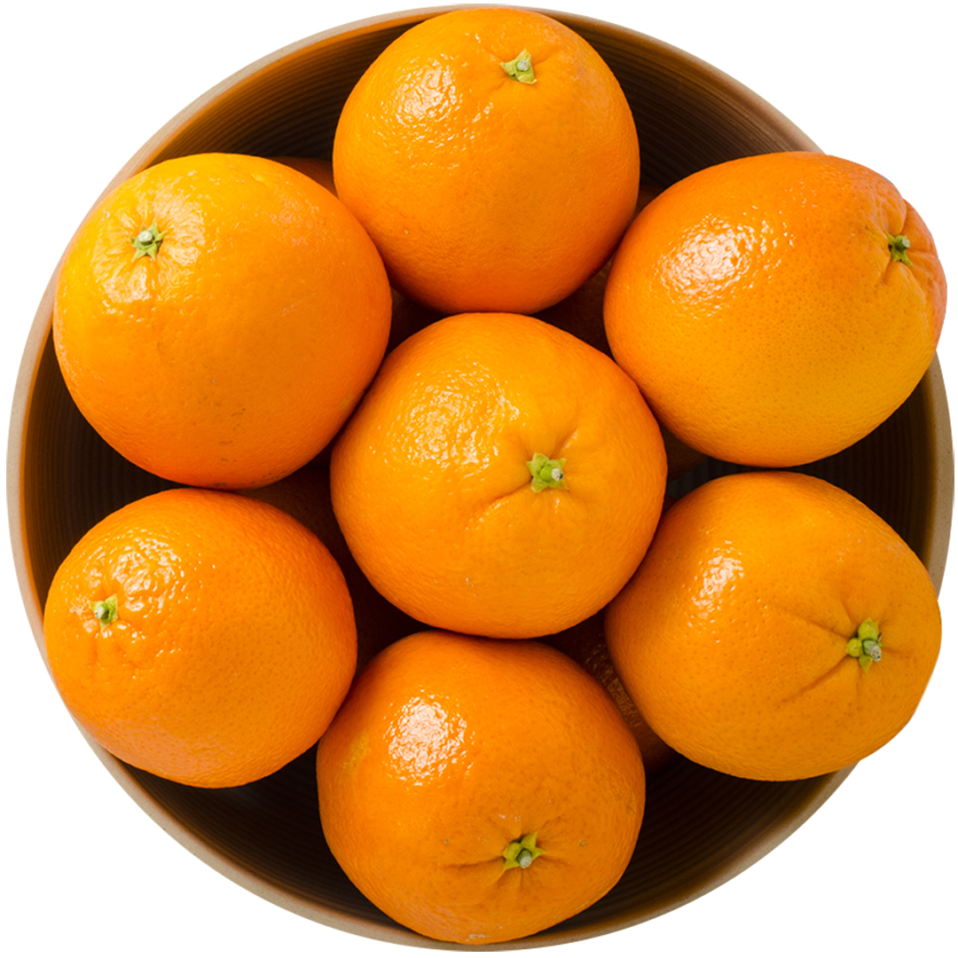 Orange Fire