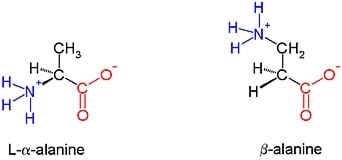 BETA-ALANIN - 1
