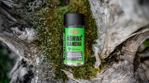 Pflanzliche Superhelden: Ashwagandha