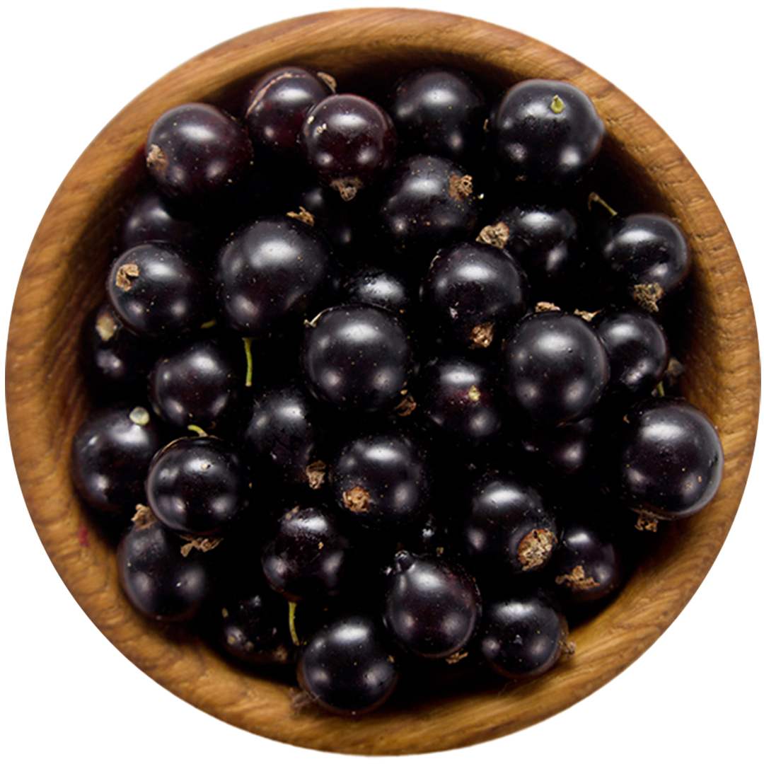 Blackcurrant