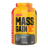 Mass Gain