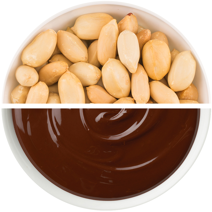 Peanut in Dark Chocolate