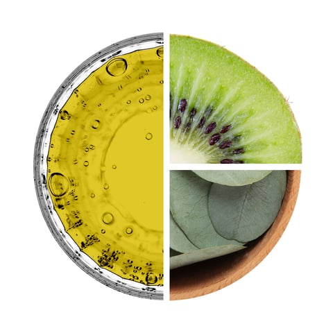 Carnitine Activity Drink