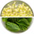 image of 