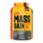 Mass Gain