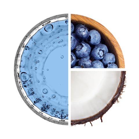 Carnitine Activity Drink