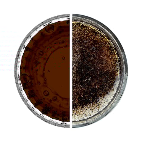 Carnitine Activity Drink with Caffeine