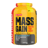 Mass Gain