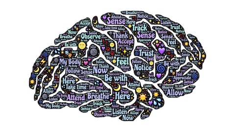 Probuďte svůj mozek