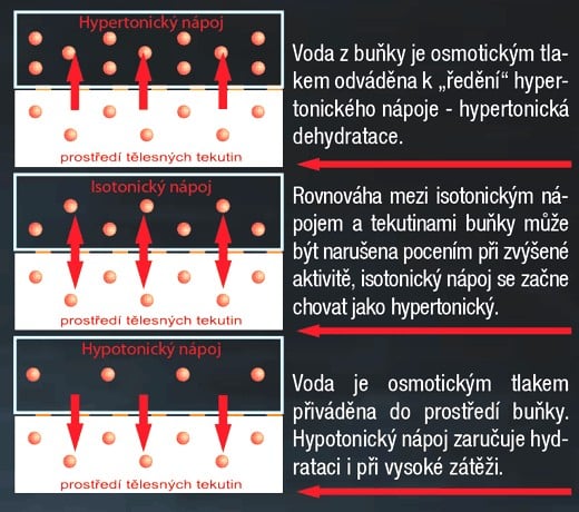 Hydratace při sportu: základy pitného režimu - 1