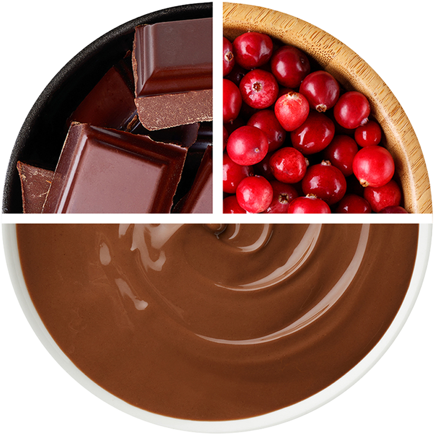Schokolade & Nougat mit Preiselbeeren in Milchschokolade